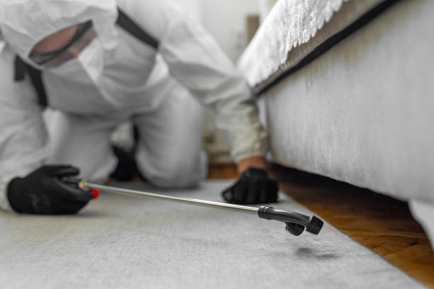 Professional Pest Control technician working in Madison County County, KY